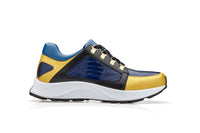 Adam - Gold/Blue/Black