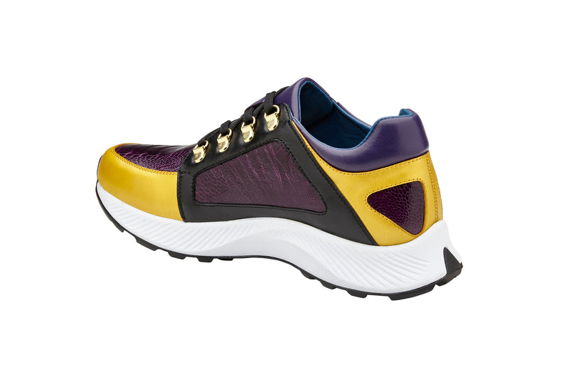 Adam - Gold/Purple/Black