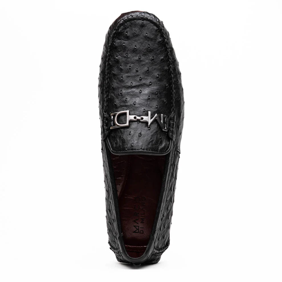 BOLONIA - BLACK