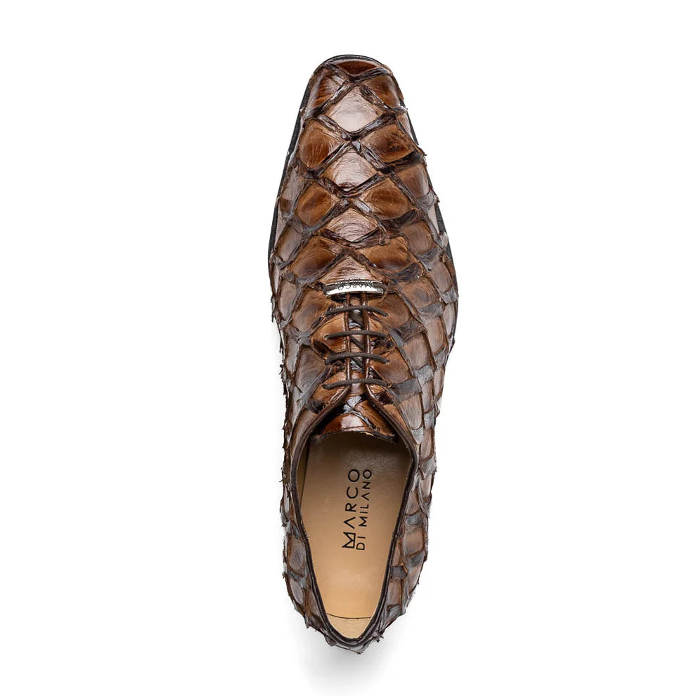 Olivieri -  Brown