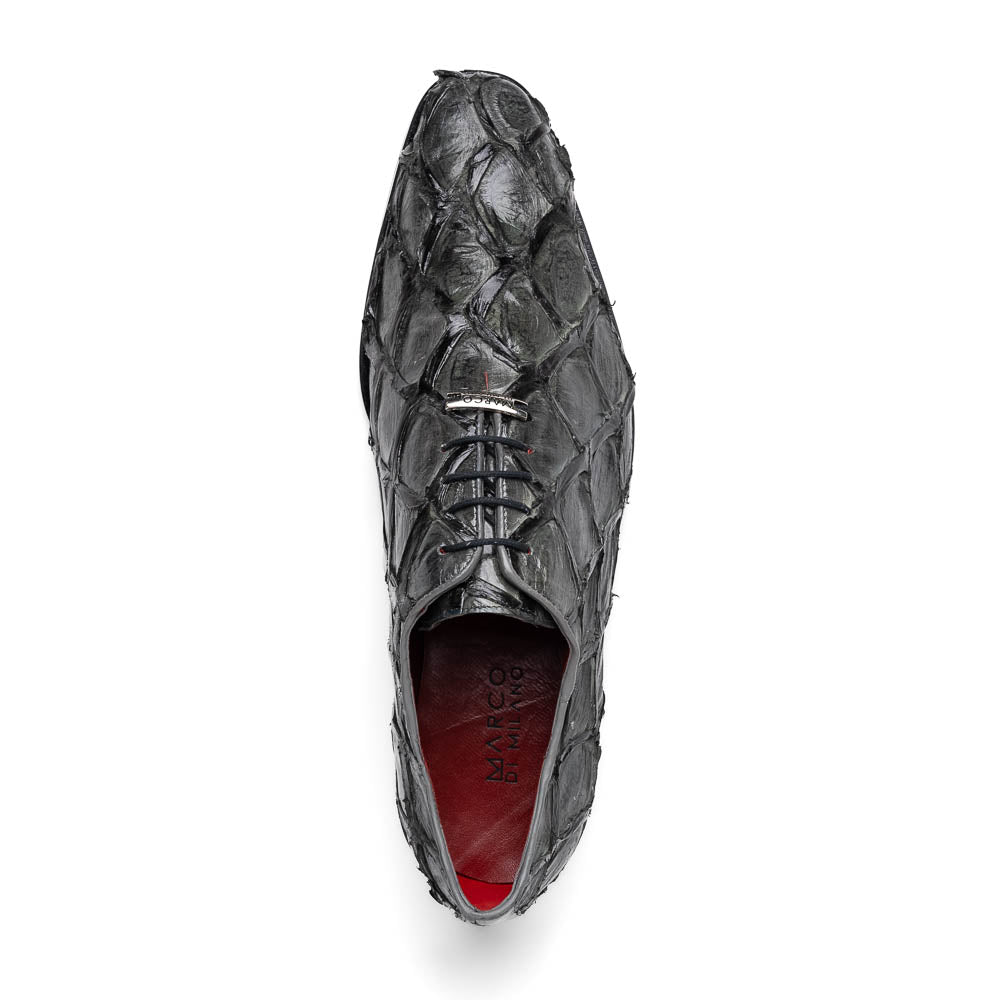 Olivieri - Gray