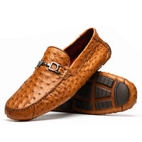 BOLONIA - BRANDY