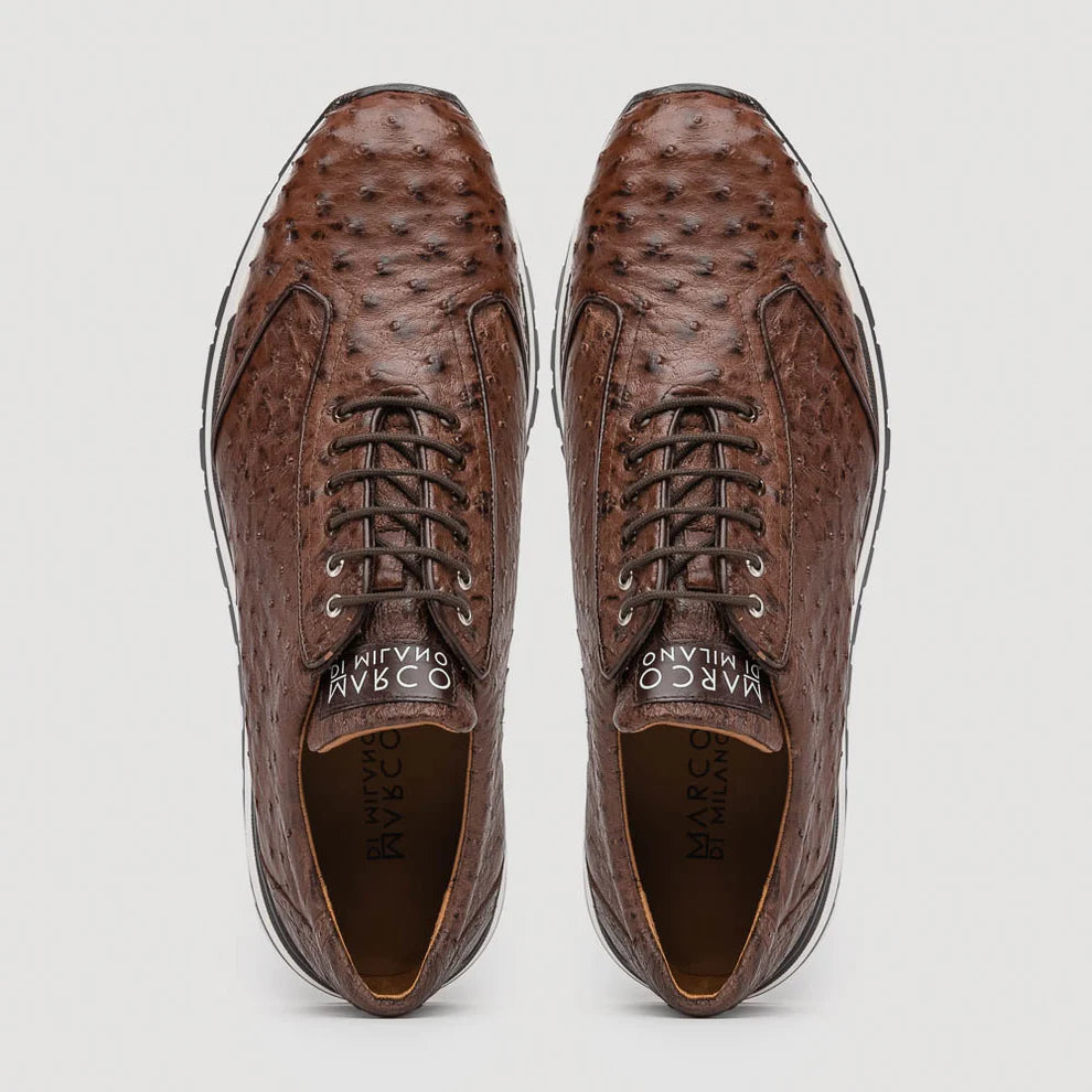 Scanno- Ant. Brown