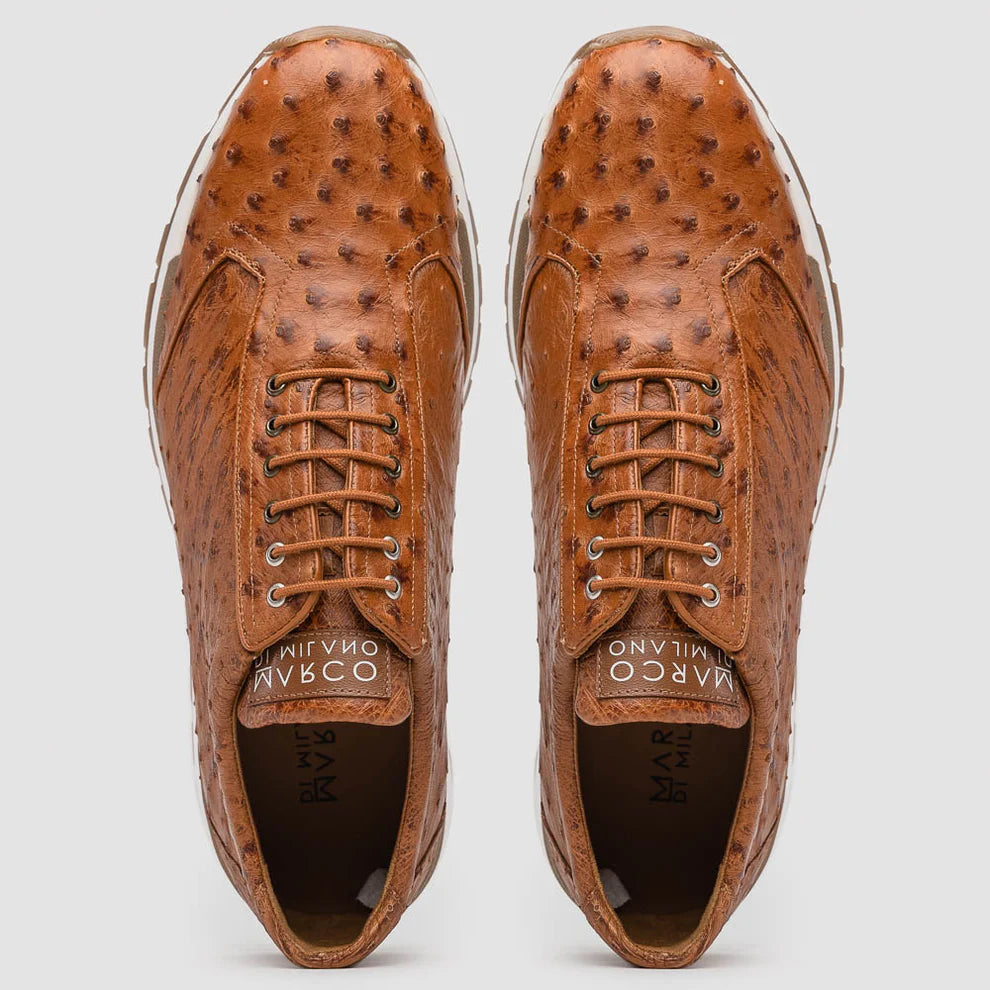 Scanno- Cognac