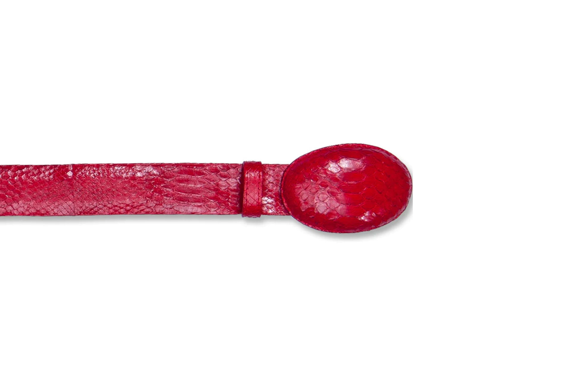 SALE - Python Red Belt